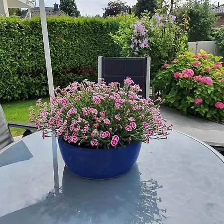 Apartment Buchenweg